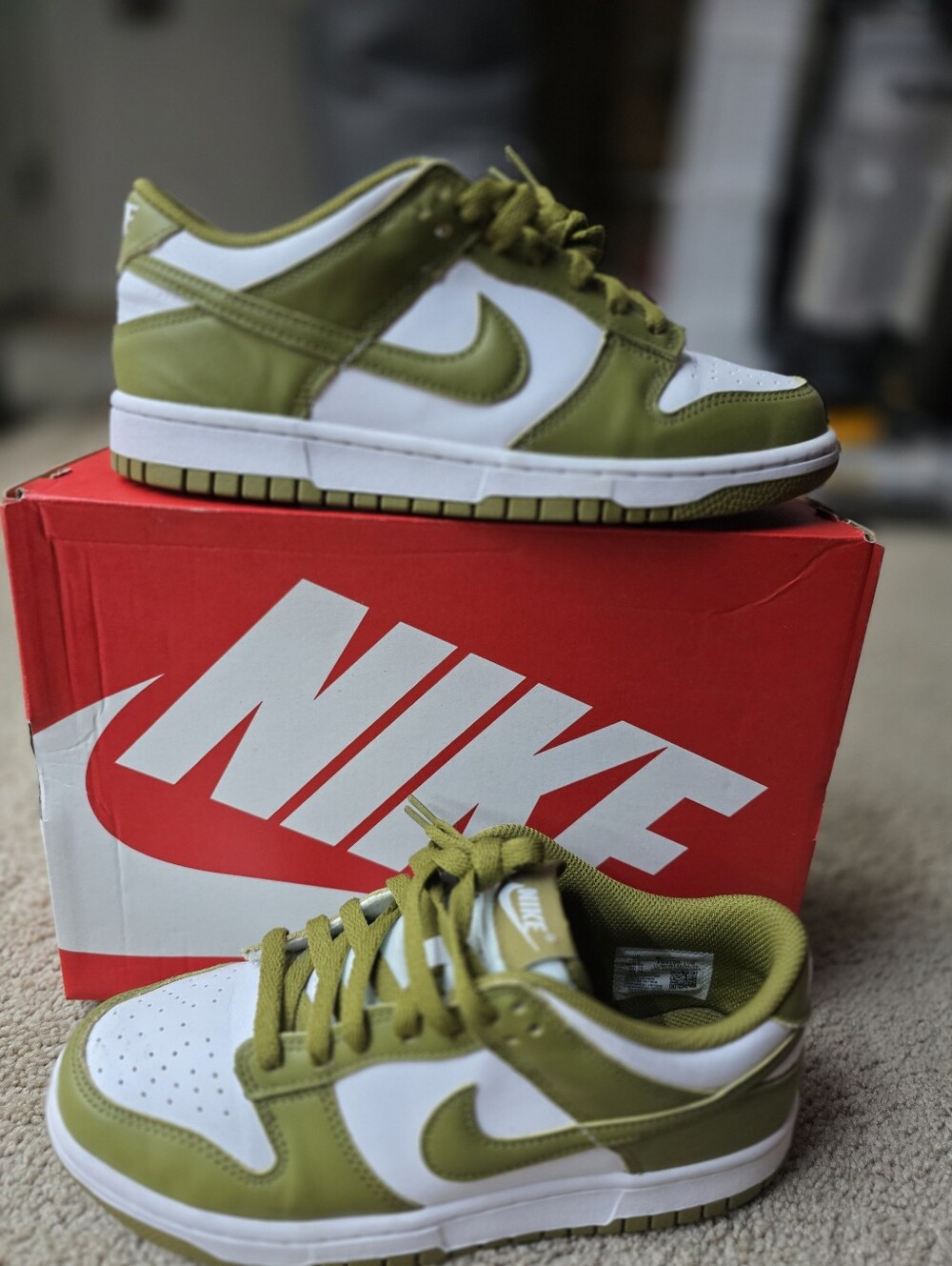 Nike Dunk Low (GS) "Pacific Moss"